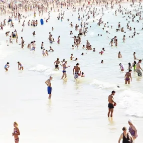 Bondi - Print