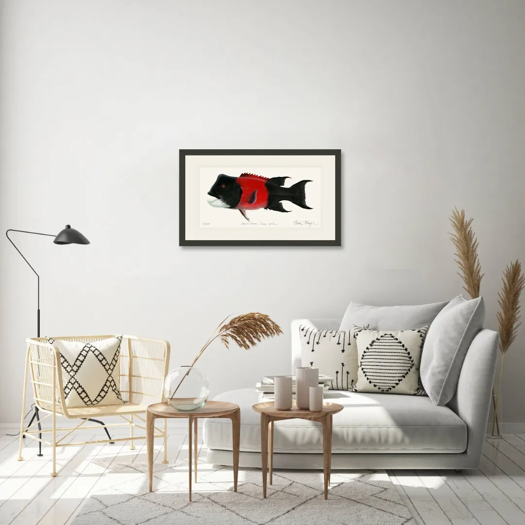 Bull CA Sheephead II Print
