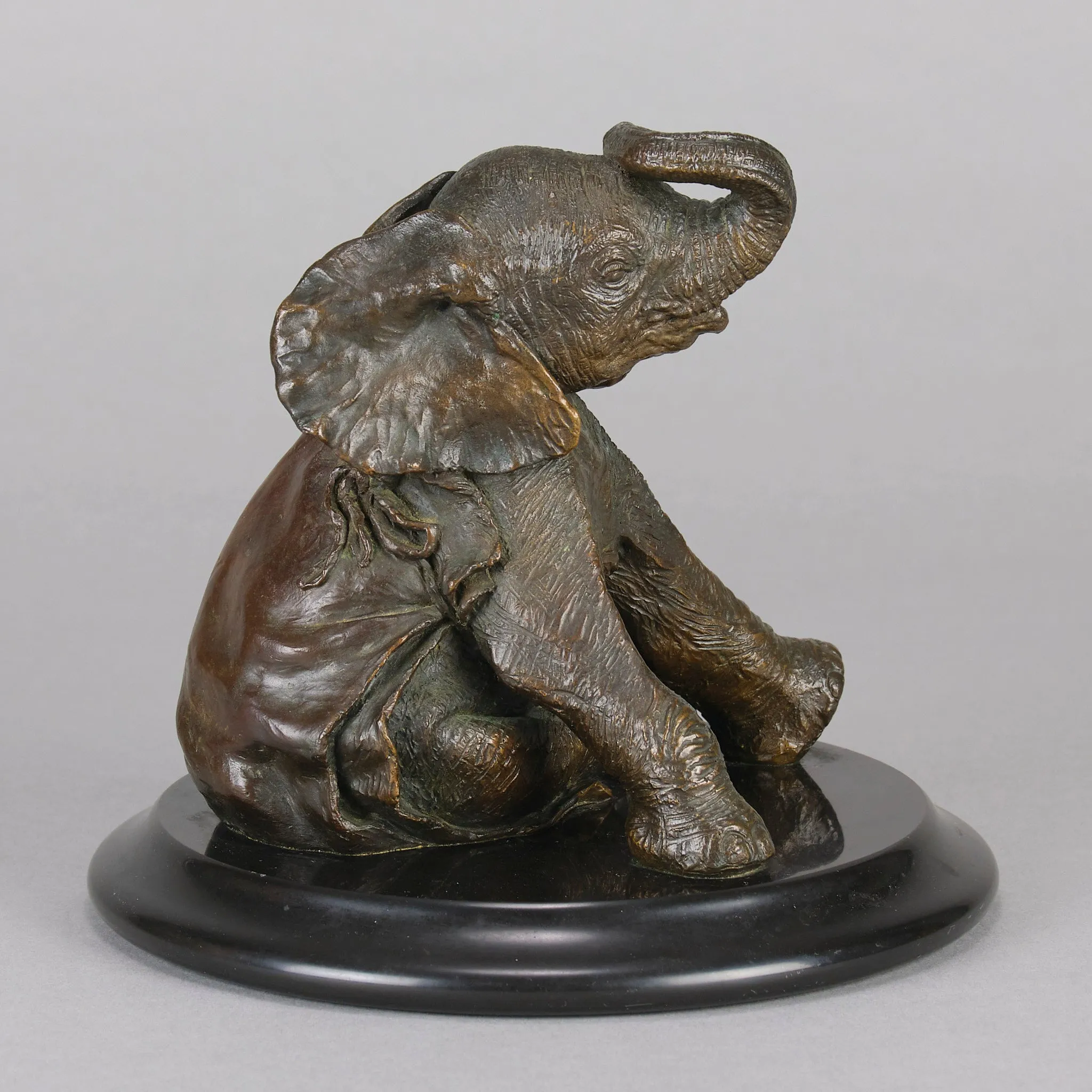 "Sitting Elephant" by Steve Winterburn