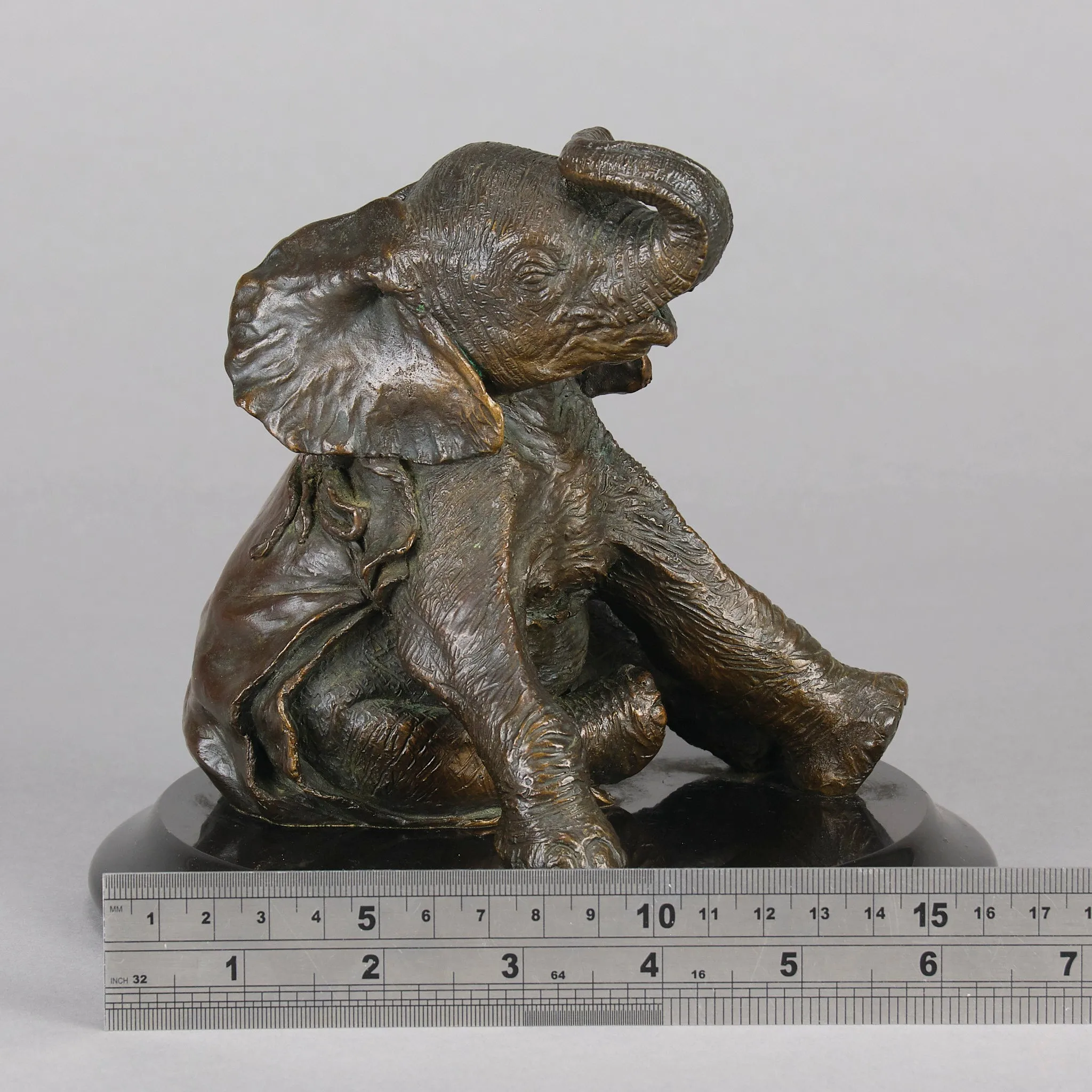 "Sitting Elephant" by Steve Winterburn