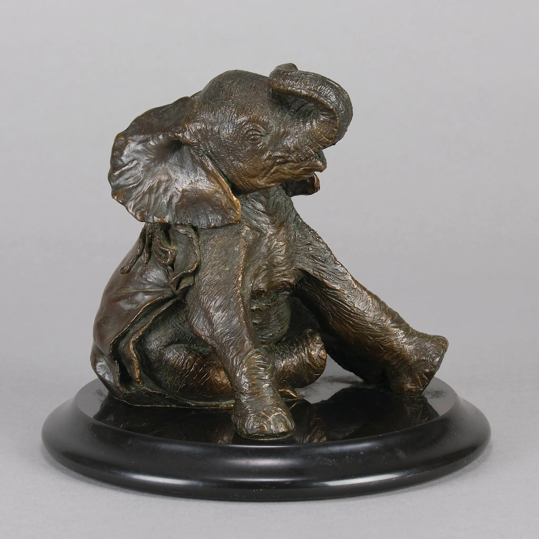 "Sitting Elephant" by Steve Winterburn
