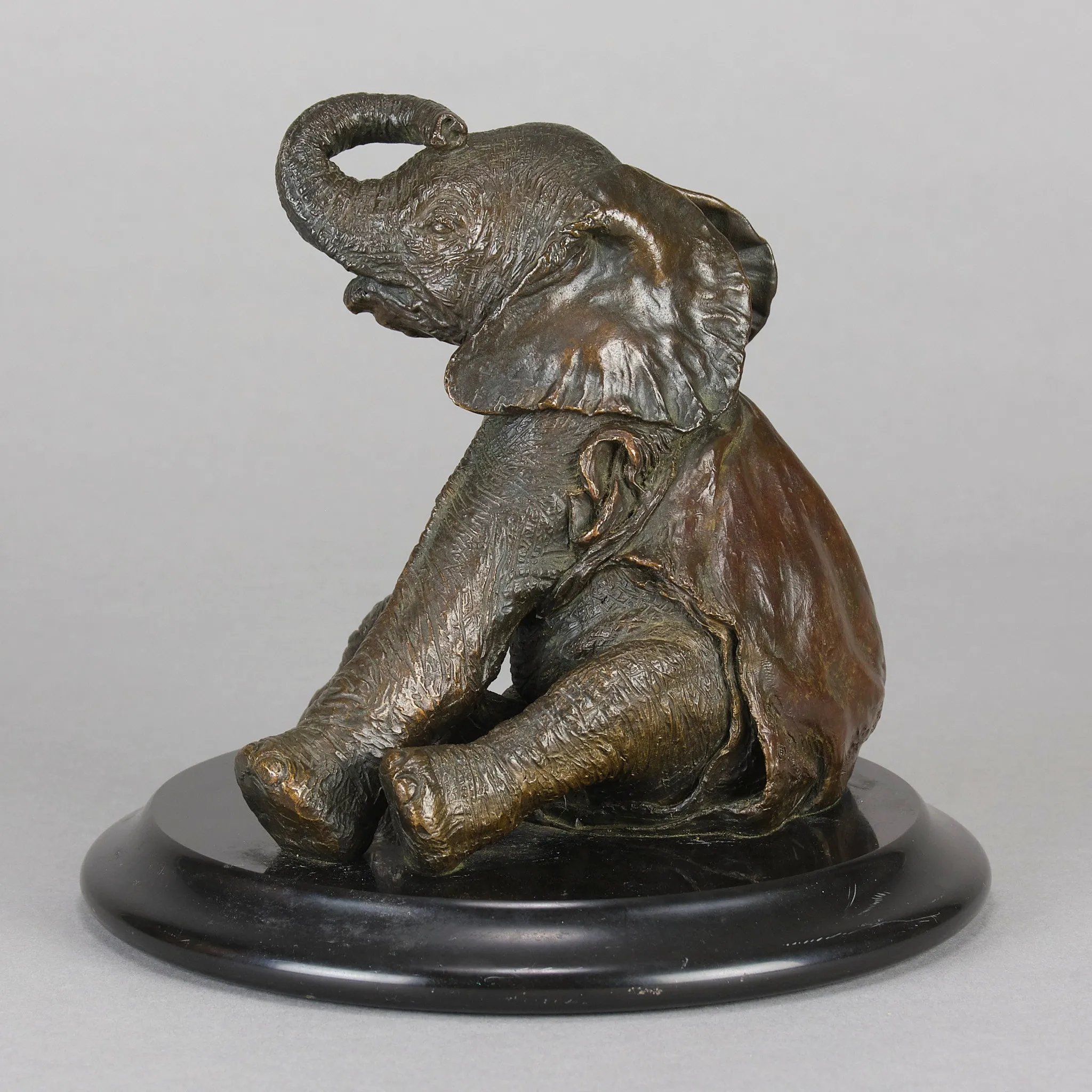 "Sitting Elephant" by Steve Winterburn