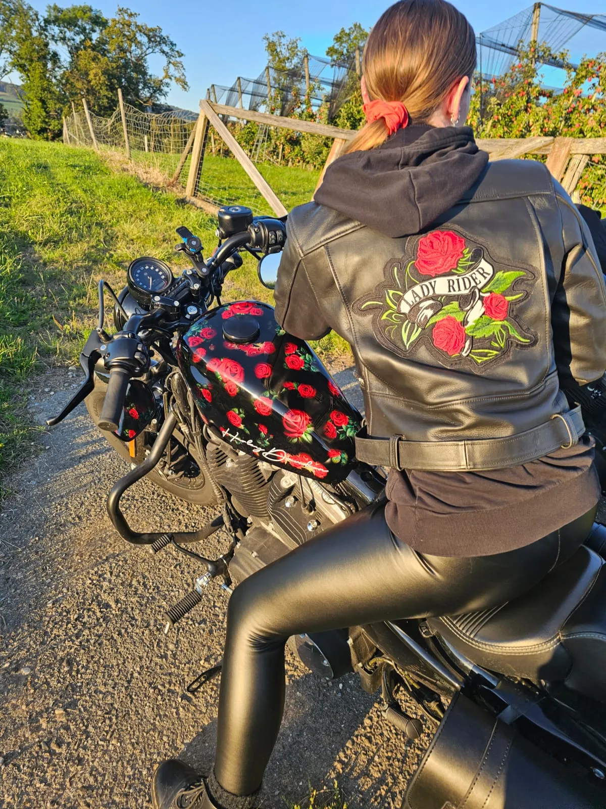 ROSES - FXBB