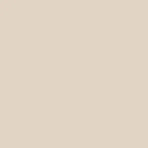 SECOND SKIN BY RD STYLE WOMEN'S ROXANNA SLEEVELESS CREWNECK BODYSUIT -  CHAMPAGNE
