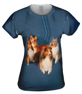 Sheltie Photo Shoot