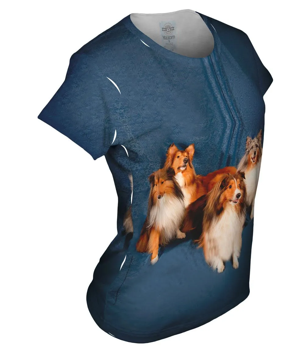 Sheltie Photo Shoot