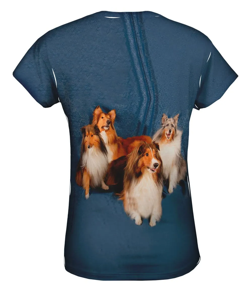 Sheltie Photo Shoot