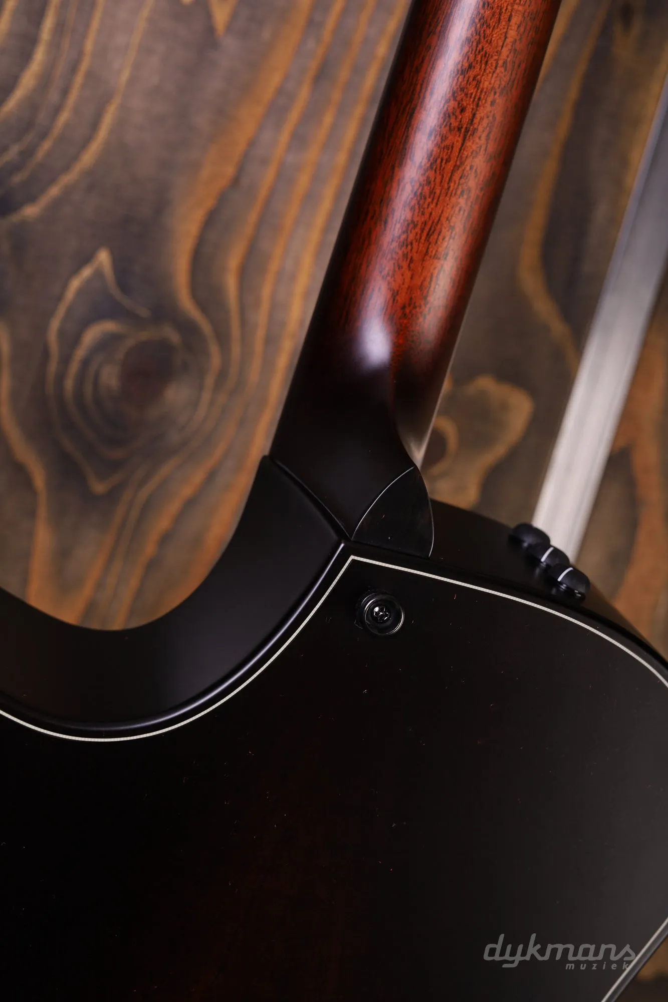 Taylor 314CE Builder's Edition LTD 50th Anniversary