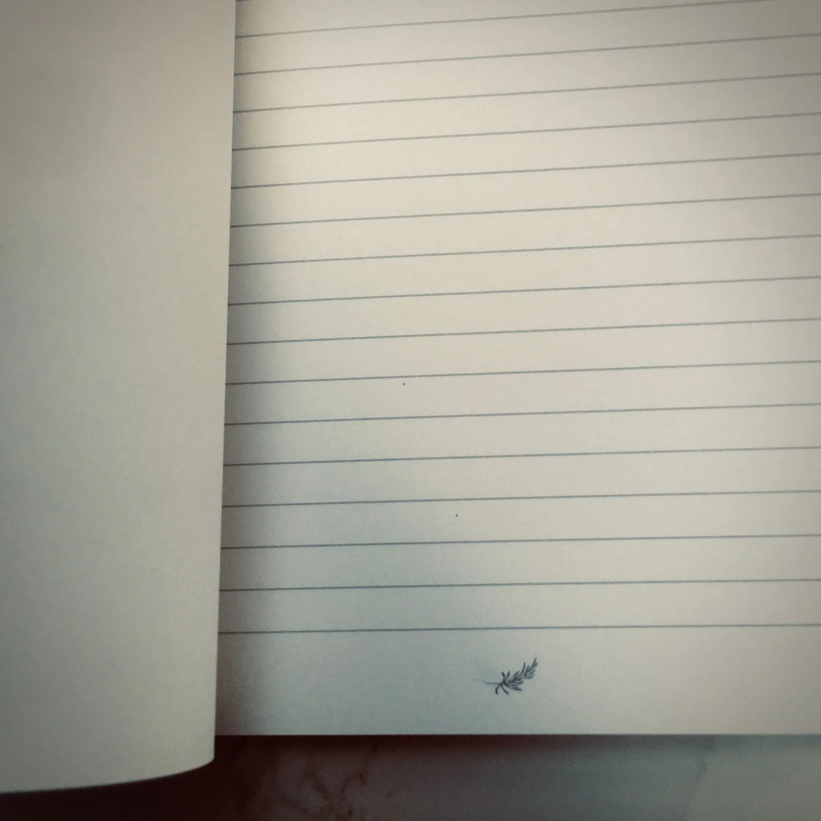 Valencia Spritz Journal (Limited Edition)